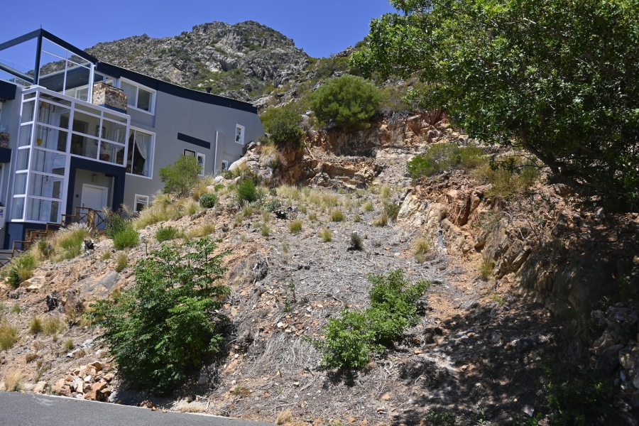 0 Bedroom Property for Sale in Mountainside Western Cape